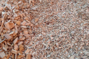 Eucalyptus Woodchip