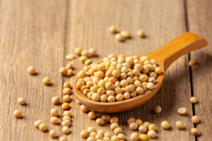 Soya Bean
